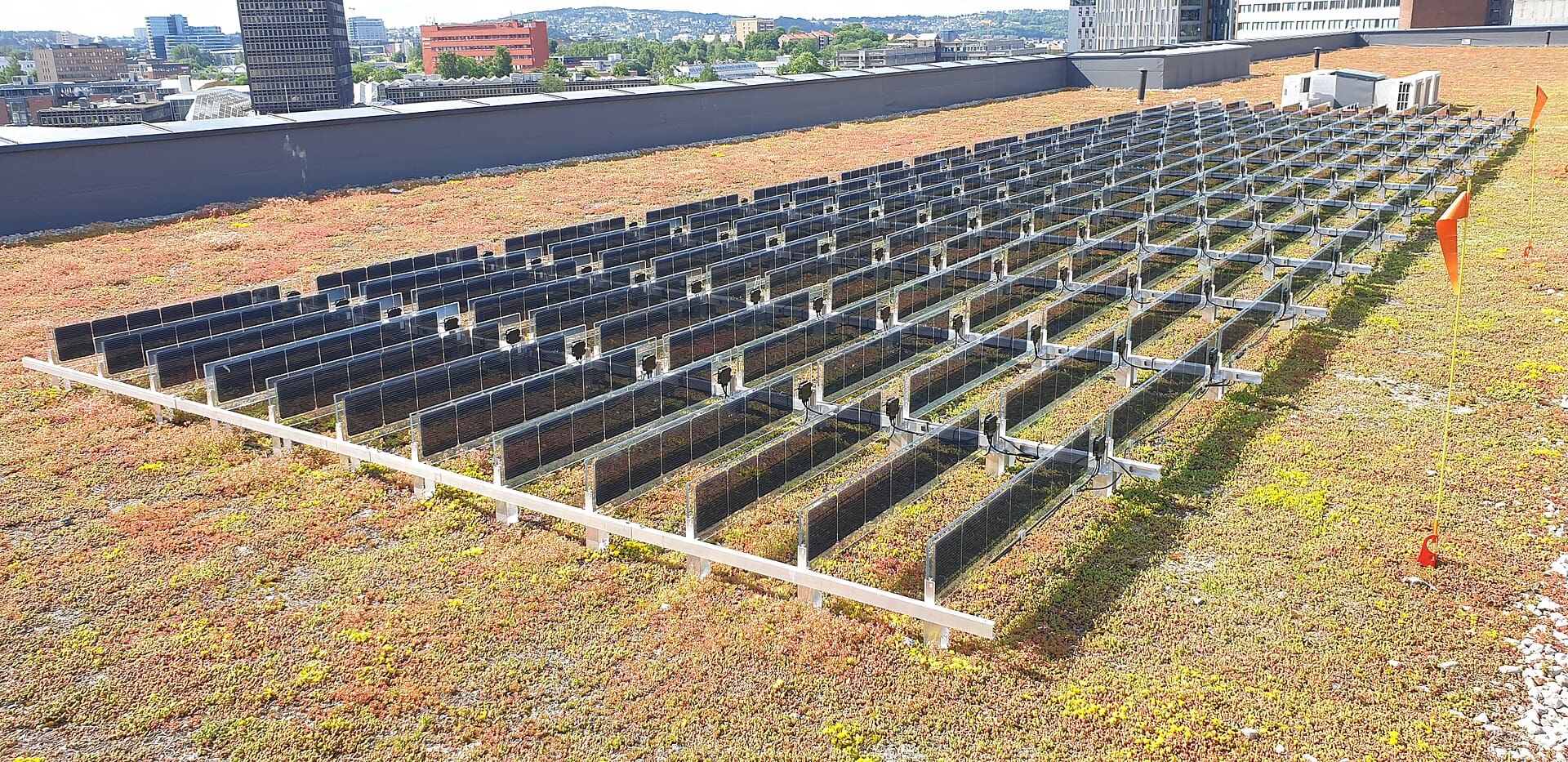 Vertically mounted bifacial panels on rails above a pale green roof membrane, with a clear gap under each panel
